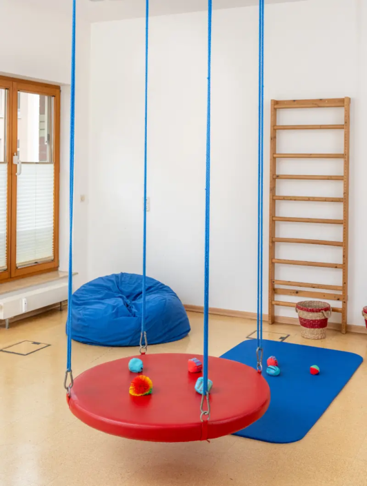 Ergotherapeutische Schaukel